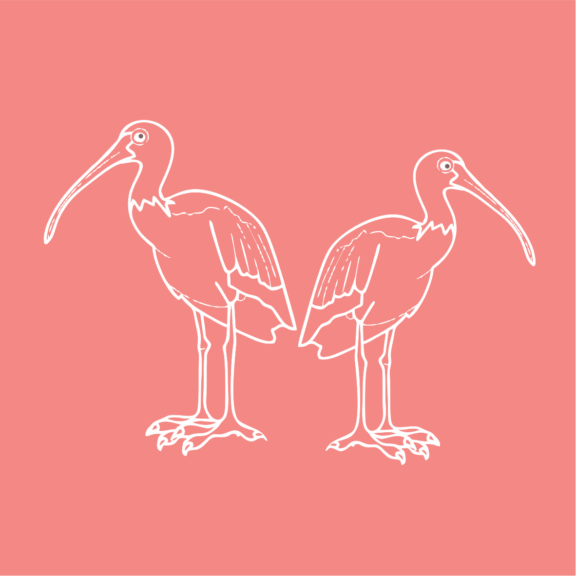 HADEDA HALL - HADEDA HALL GUEST HOUSE - GUEST HOUSE - ACCOMMODATION - B&B - SECURE ACCOMMODATION - OFF STREET PARKING - LUXURY ACCOMMODATION - FRIENDLY ACCOMMODATION - MODERN - STYLISH ACCOMMODATION - VALUE FOR MONEY - VALUE FOR MONEY ACCOMMODATION - SOLAR POWER - LONG TERM ACCOMMODATION _ CONVENIENT LOCATION - UJ - WITS - HOSPITALS - MILPARK HOSPITAL -PRIVATE - INTIMATE