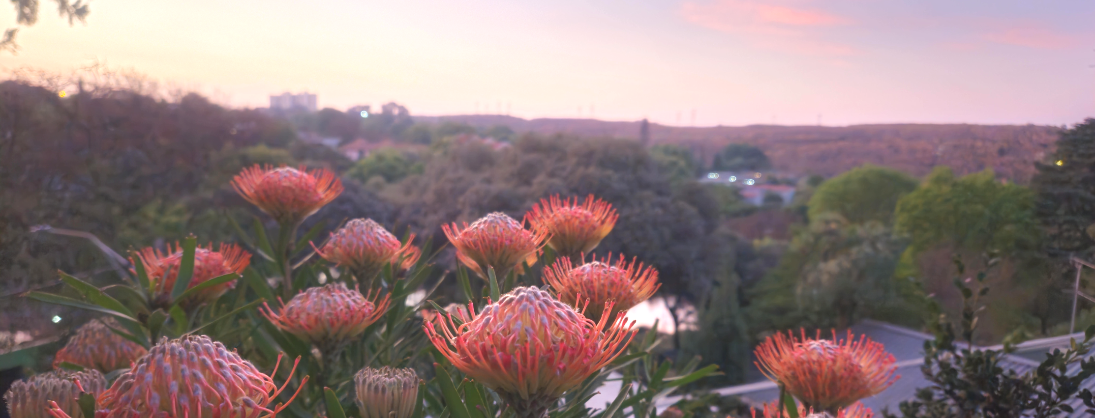 HADEDA HALL - HADEDA HALL GUEST HOUSE - GUEST HOUSE - ACCOMMODATION - B&B - SECURE ACCOMMODATION - OFF STREET PARKING - LUXURY ACCOMMODATION - FRIENDLY ACCOMMODATION - MODERN - STYLISH ACCOMMODATION - VALUE FOR MONEY - VALUE FOR MONEY ACCOMMODATION - SOLAR POWER - LONG TERM ACCOMMODATION _ CONVENIENT LOCATION - UJ - WITS - HOSPITALS - MILPARK HOSPITAL -PRIVATE - INTIMATE