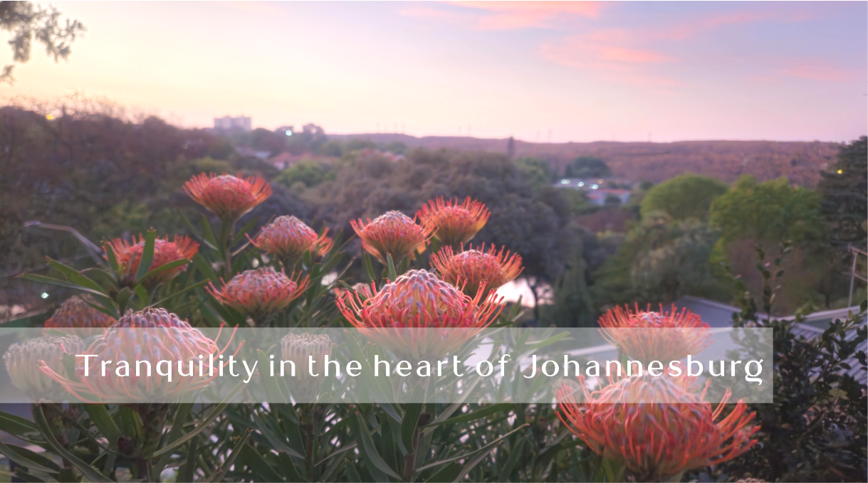 HADEDA HALL - HADEDA HALL GUEST HOUSE - GUEST HOUSE - ACCOMMODATION - B&B - SECURE ACCOMMODATION - OFF STREET PARKING - LUXURY ACCOMMODATION - FRIENDLY ACCOMMODATION - MODERN - STYLISH ACCOMMODATION - VALUE FOR MONEY - VALUE FOR MONEY ACCOMMODATION - SOLAR POWER - LONG TERM ACCOMMODATION _ CONVENIENT LOCATION - UJ - WITS - HOSPITALS - MILPARK HOSPITAL -PRIVATE - INTIMATE