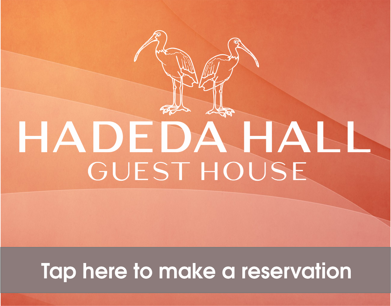 HADEDA HALL - HADEDA HALL GUEST HOUSE - GUEST HOUSE - ACCOMMODATION - B&B - SECURE ACCOMMODATION - OFF STREET PARKING - LUXURY ACCOMMODATION - FRIENDLY ACCOMMODATION - MODERN - STYLISH ACCOMMODATION - VALUE FOR MONEY - VALUE FOR MONEY ACCOMMODATION - SOLAR POWER - LONG TERM ACCOMMODATION _ CONVENIENT LOCATION - UJ - WITS - HOSPITALS - MILPARK HOSPITAL -PRIVATE - INTIMATE